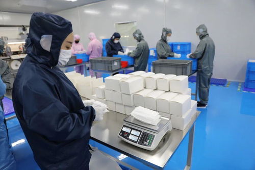 好消息,鸡东县医用口罩厂开工生产 ,助力疫情防控和经济发展
