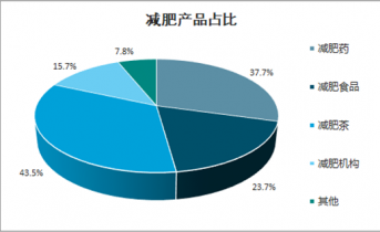 2021-2027年中国减肥市场全景调查与投资策略